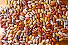 COLORFUL  BEANS
